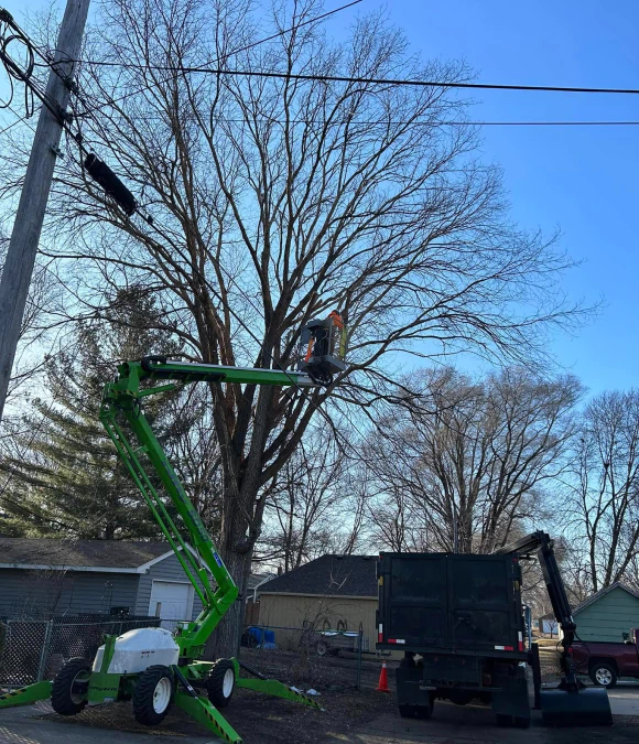 Dangerous Tree & Crane Removals