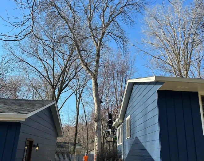 Professional Tree Care Serving Saint Cloud, Minnesota