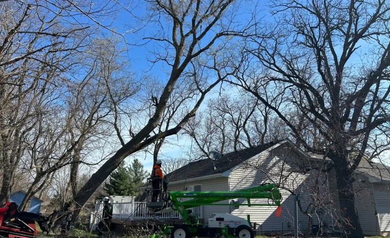 A arborist in a cherry picker cuts tree limbs next to a house
